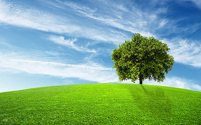 2007 – Environmental protection integrated into corporate activities